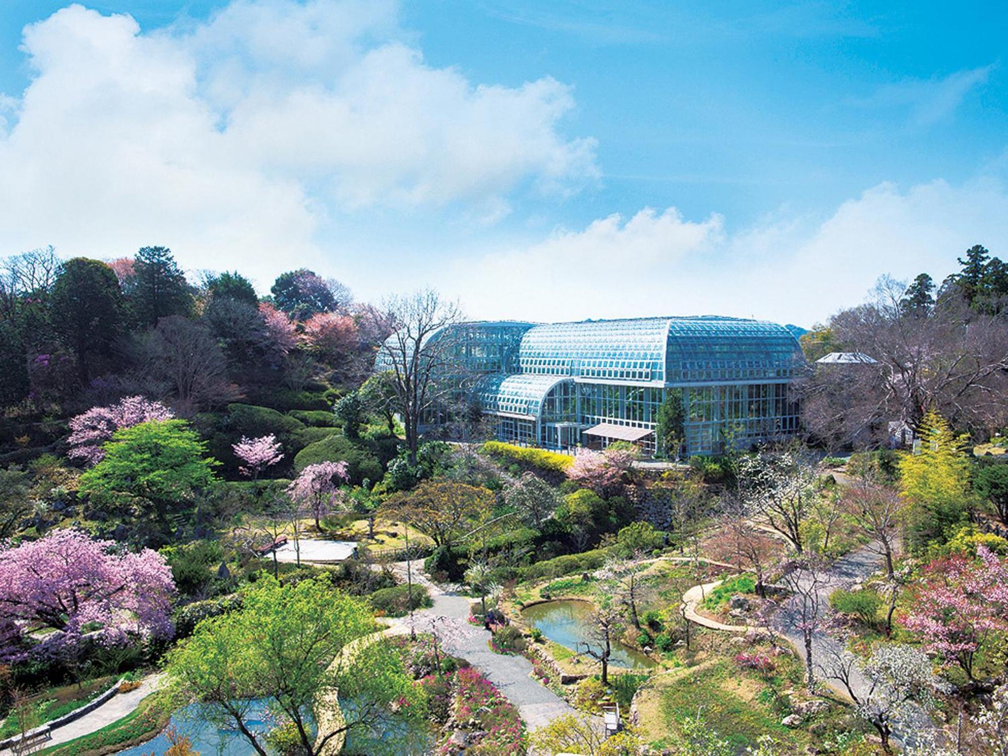 The Crown Palais New Hankyu Kochi Экстерьер фото